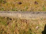 image of grave number 808776